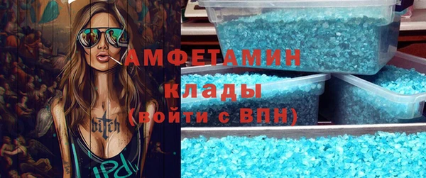 индика Алзамай