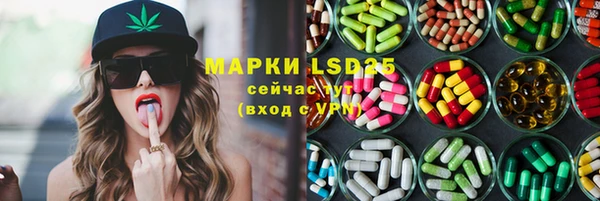 СК Новокубанск