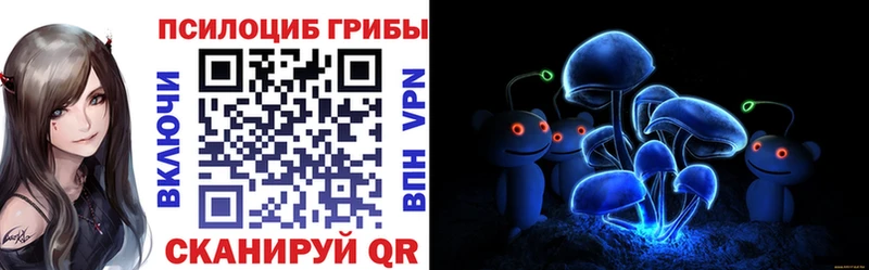Псилоцибиновые грибы MAGIC MUSHROOMS  продажа наркотиков  Красноперекопск 